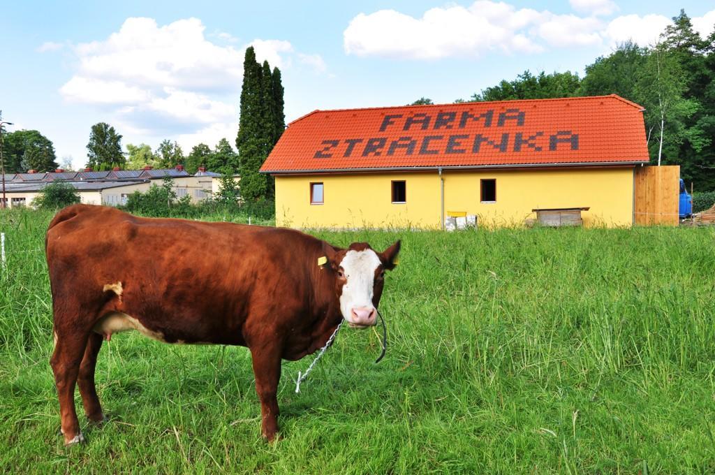 Farma Ztracenka 호텔 Porici nad Sazavou 외부 사진